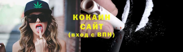 индика Покровск